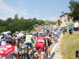 Anteprima