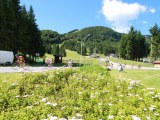 Anteprima