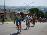 Anteprima