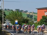 Anteprima
