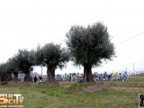 Anteprima