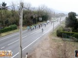 Anteprima
