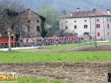 Anteprima