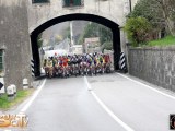 Anteprima