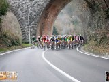 Anteprima