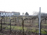 Anteprima