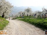 Anteprima