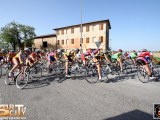 Anteprima