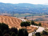 Anteprima