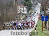Anteprima
