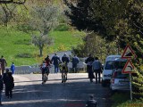 Anteprima