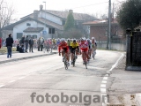 Anteprima