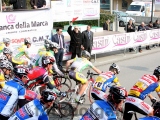 Anteprima