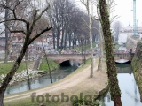 Anteprima