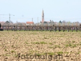 Anteprima
