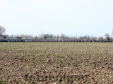 Anteprima