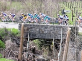Anteprima