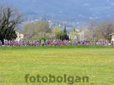 Anteprima