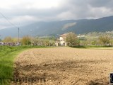 Anteprima