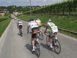 Anteprima