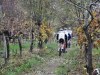 MTB: Presentata la Veneto Cup