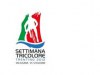 Lunedì 4 giugno presentazione ufficiale a Trento con il Presidente Di Rocco e il CT azzurro Bettini